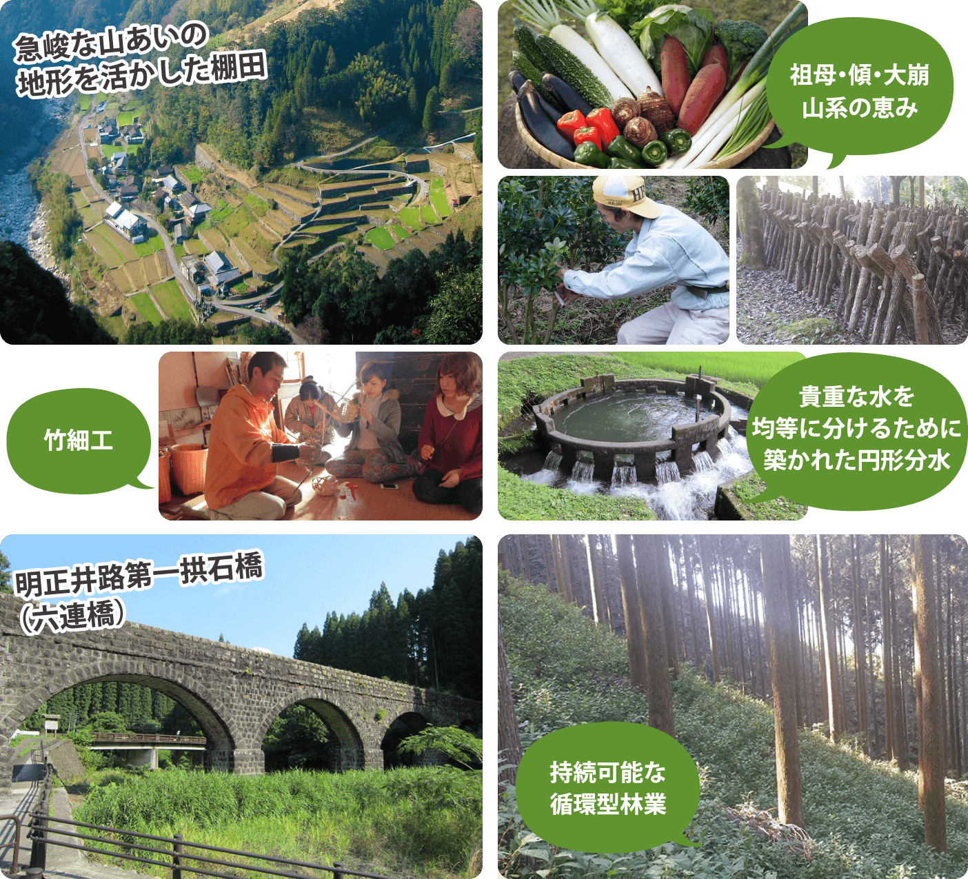 写真が確定したらココに入力してね。