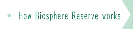The mechanism of Biosphere Reserve