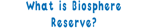 What is Biosphere Reserve?