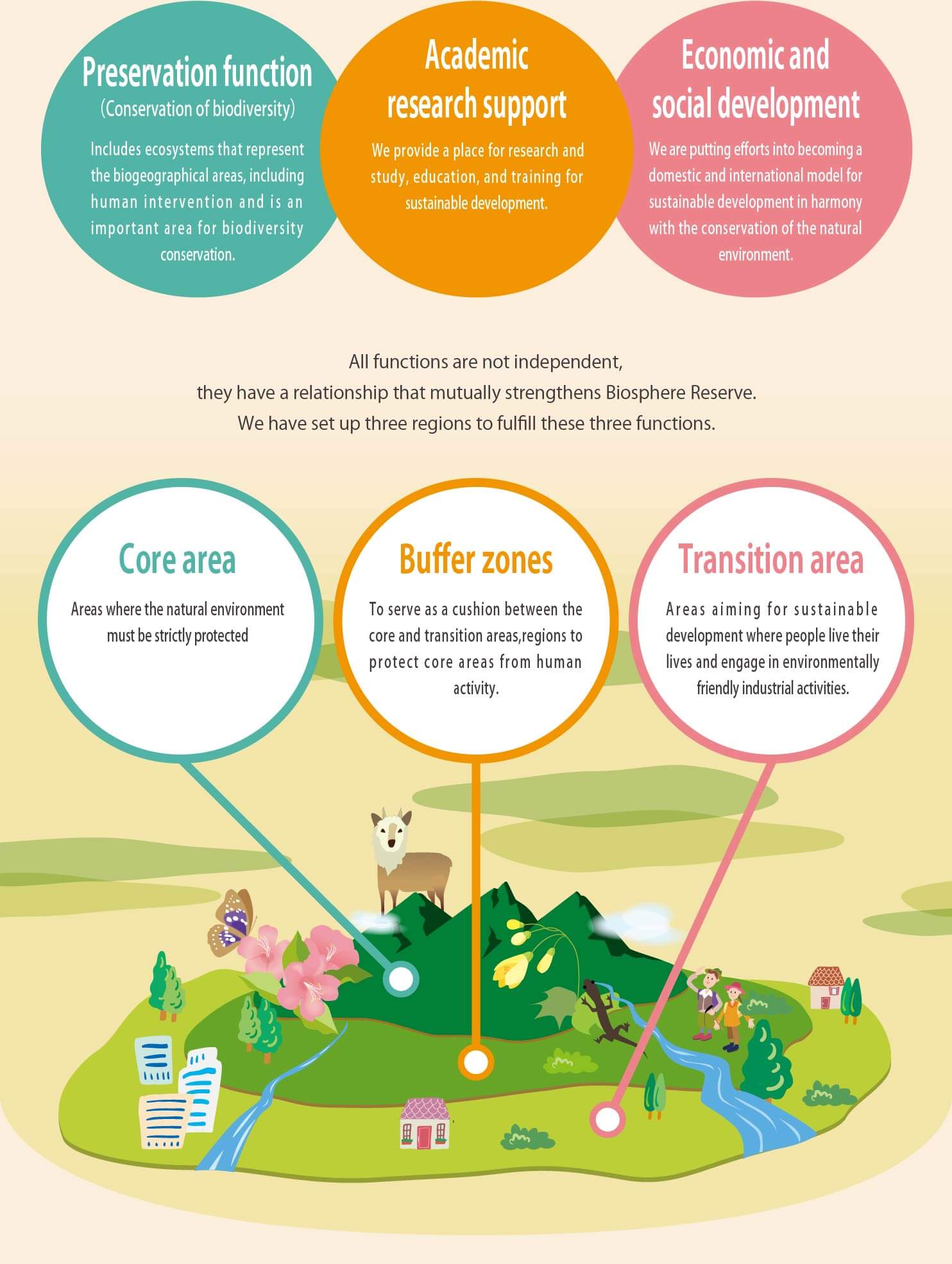 How Biosphere Reserve works