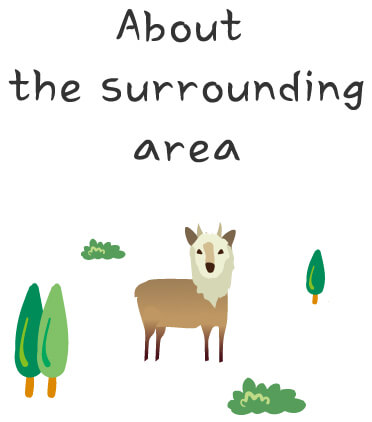 About the Surrounding area